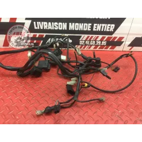 Faisceau électrique principale 