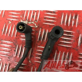 Cable entre bobine courte Ducati 1200 Multistrada S DVT 2015 à 2017