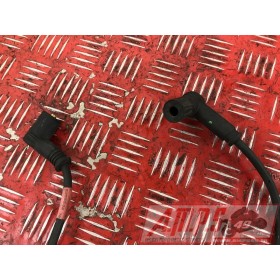 Cable entre bobine longue Ducati 1200 Multistrada S DVT 2015 à 2017