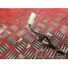 Cable de masseTHUND10009873WJ72B4-G2731620used