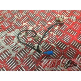Faisceau de bobine d'allumage Yamaha YZF 1000 R Thunderace 1996 à 2003