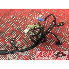 faisceau principale KTM 1290 Super Duke R 2014 à 2016