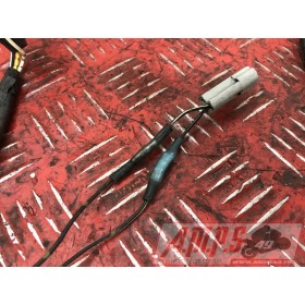 Faisceau avantLOTAKIB2-A2737950used