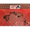 Faisceau secondaire Kawasaki ZX10R 2004 à 2005ZX10R06AX-556-AMB0-B3364700used