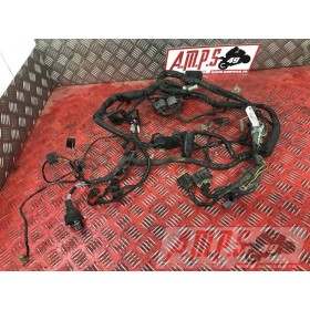 Faisceau électrique principaleER6F08AQ-972-FDB7-E1738432used