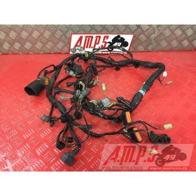 Faisceau électrique principaleZ75011BX-584-BLB7-D1741307used