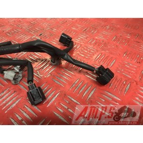 Faiscseau d'injectionXJ614DD-635-NSB8-D4748497used