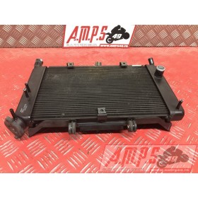 Radiateur d'eau Yamaha XJ6 2009 à 2016