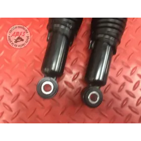 Amortisseur arriere 2 