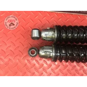 Amortisseur arrière 