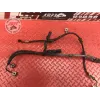 Kit de durite frein Harley-Davidson XL 883 R Sportster 2001 à 2015