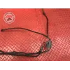 Kit de durite frein Harley-Davidson XL 883 R Sportster 2001 à 2015