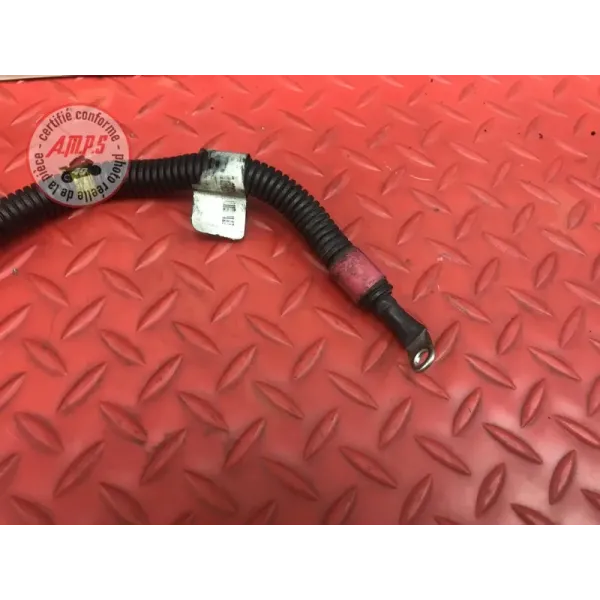 Cable de batterie Harley-Davidson XL 883 R Sportster 2001 à 2015