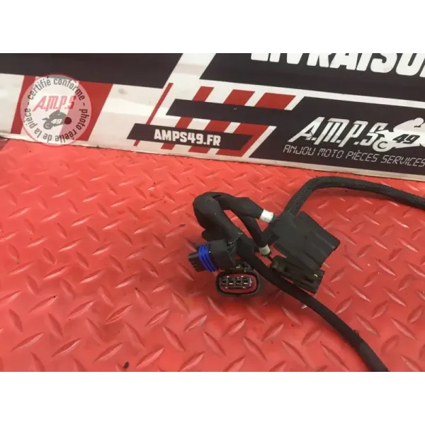 Faisceau d'injection Harley-Davidson XL 883 R Sportster 2001 à 2015