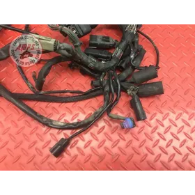 Faisceau électrique principale Harley-Davidson XL 883 R Sportster 2001 à 2015 