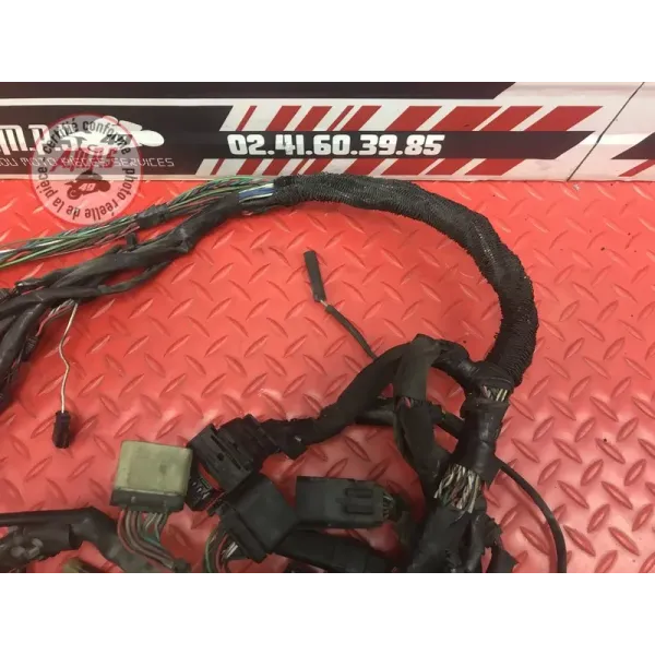 Faisceau électrique principale Harley-Davidson XL 883 R Sportster 2001 à 2015
