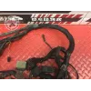 Faisceau électrique principale Harley-Davidson XL 883 R Sportster 2001 à 2015