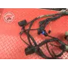 Faisceau électrique principale Harley-Davidson XL 883 R Sportster 2001 à 2015