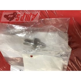 Raccord 955I Daytona 2400043-T0301- pièce moto occasion