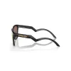 Lunettes de soleil OAKLEY Frogskins™ Hybrid verres Prizm 24k Polarized