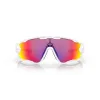 Lunettes de soleil OAKLEY Jawbreaker™ verres Prizm Road