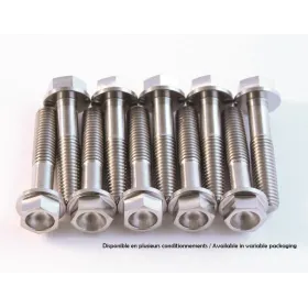 Kit vis titane SCAR M6x70 par 2