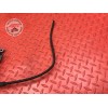 Boitier CDI ECU Triumph 955 SPRINT RS 2000 à 2003