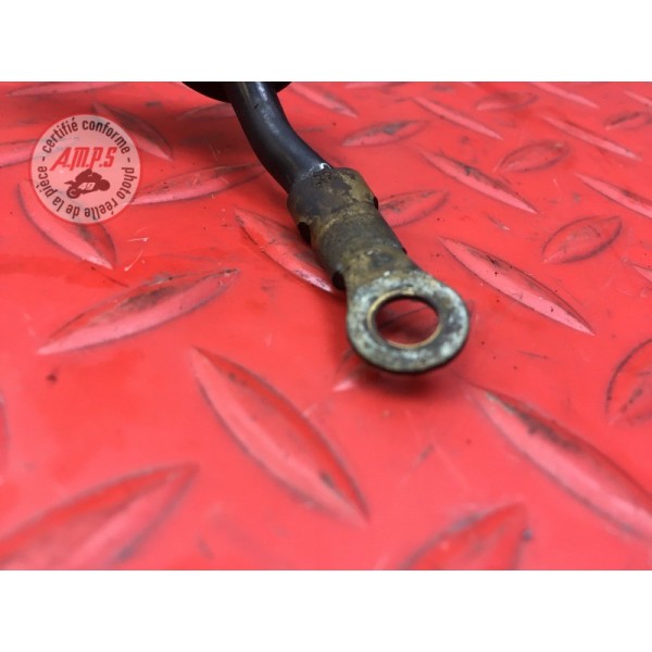 Cable de masse Triumph 955 SPRINT RS 2000 à 2003
