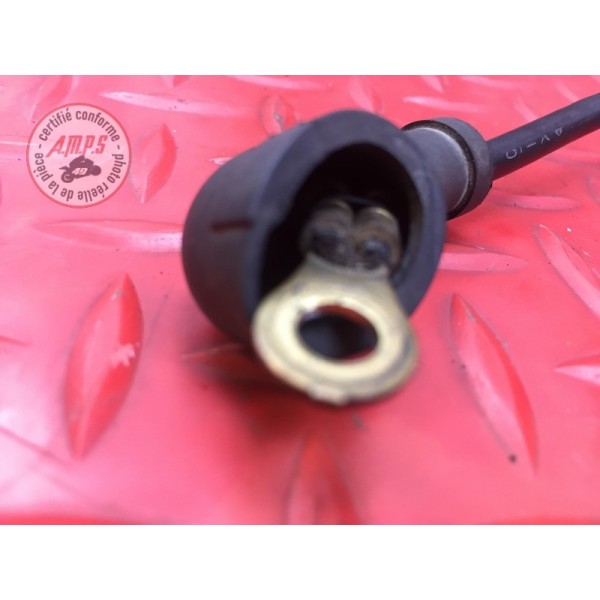 Cable de masse Triumph 955 SPRINT RS 2000 à 2003