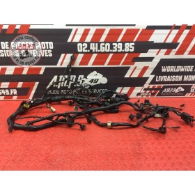 Faisceau électrique principale 