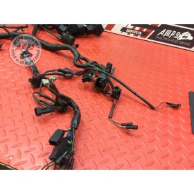 Faisceau électrique principale 