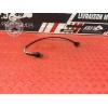 Sonde lambda Triumph 955 SPRINT RS 2000 à 2003