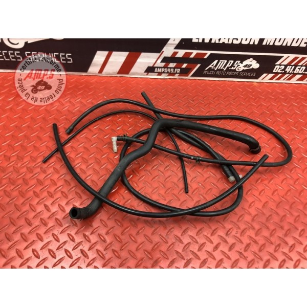 Kit de durite Triumph 955 SPRINT RS 2000 à 2003