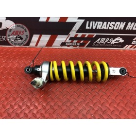 Amortisseur arrière 