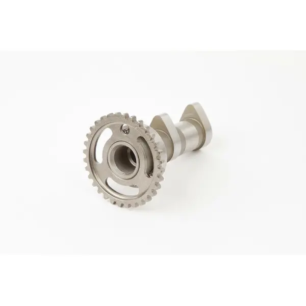 Arbre à cames admission HOT CAMS - Niveau 1 Suzuki RM-Z450