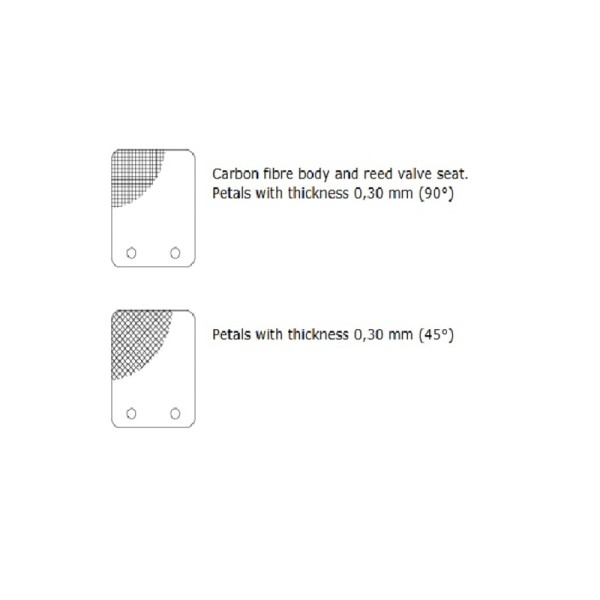 Clapet MALOSSI VL13 pétale carbone 0,30mm 45°