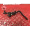 Electrovane de SAI