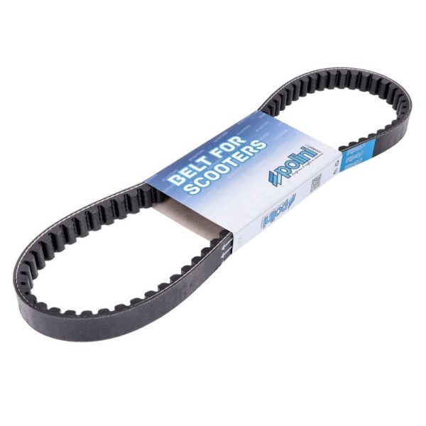 Courroie POLINI avec variateur