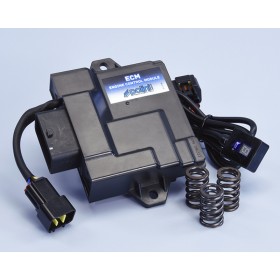 Boîtier ECU POLINI