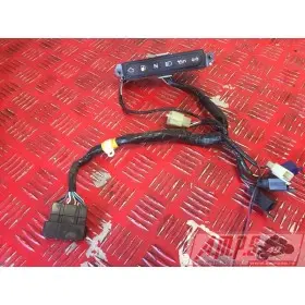 Tiger 955i 01 02 03 04 05 06