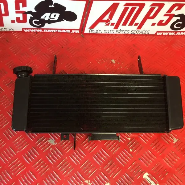 Radiateur Sv N 650 2003 à 2004