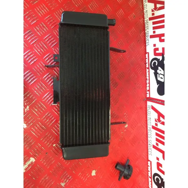 Radiateur Sv S 650 2003 à 2004