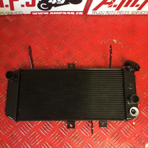 Radiateur Sv N S 650 2005 à 2009