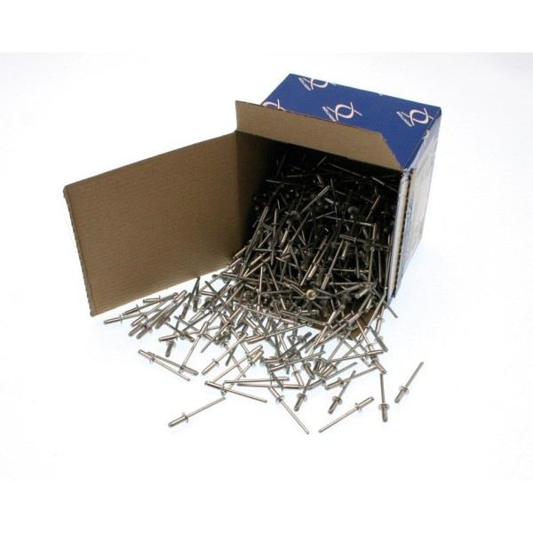 BOITE DE 500 RIVETS TETE PLATE 3X6