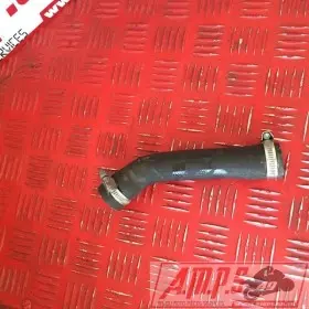  Tiger 955i 01 02 03 04 05 06