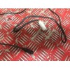 Cable electriqueS1000RR16EB-327-JKH9-A3776145used