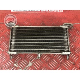 Radiateur d'huile BMW S1000R 2014 à 2016