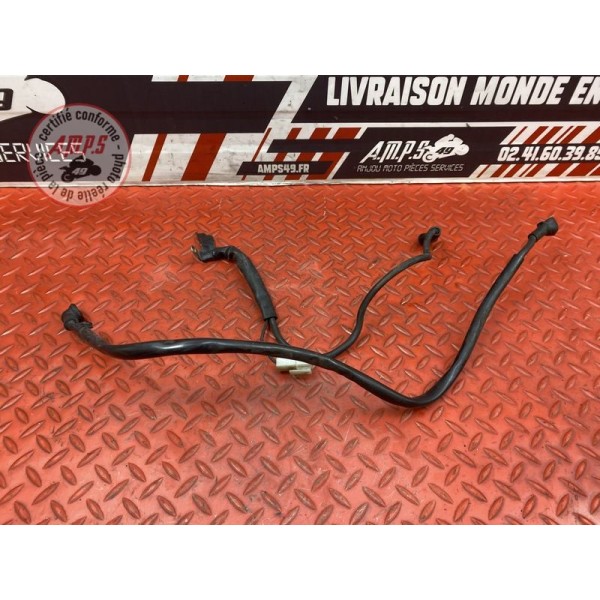 Cable de masse Yamaha XJR 1200 1996 à 1998