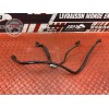 Cable de masse Yamaha XJR 1200 1996 à 1998