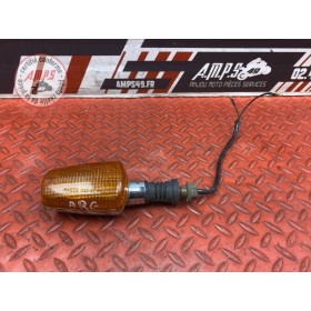 Clignotant arrière gauche 